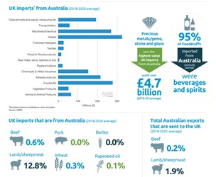 Snapshot preview of infographics for UK Australia Imports